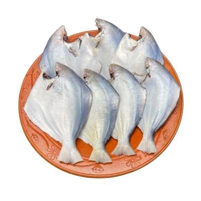 রূপচাঁদা মাছ